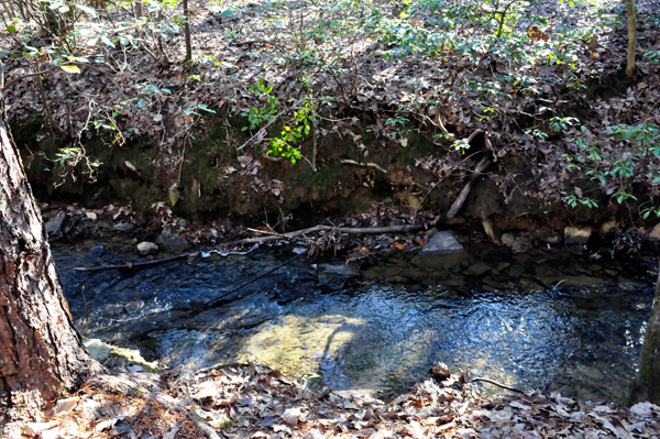 stream at Crowders Mountain